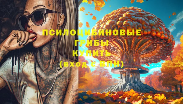 синтетический гашиш Алексеевка