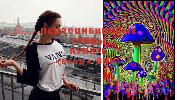 синтетический гашиш Алексеевка