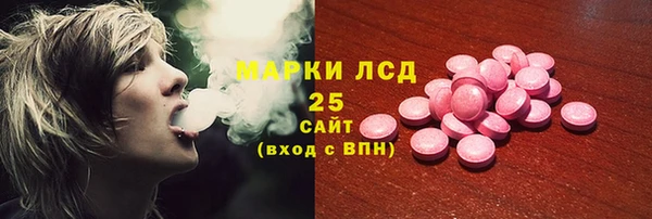 крисы Алзамай