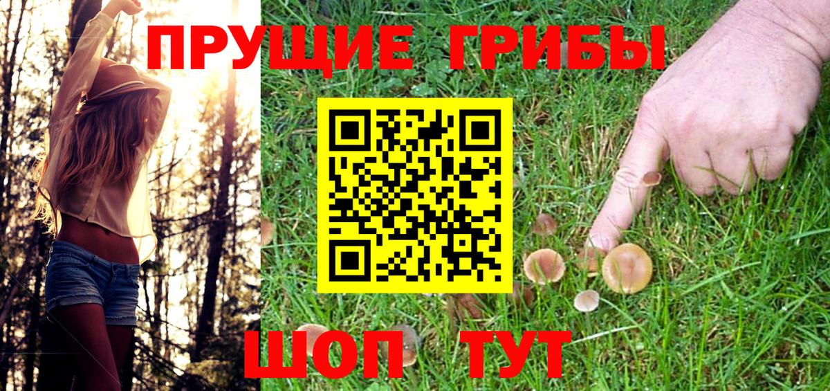 Лобня  Галлюциногенные грибы Psilocybe  Вход с VPN 
