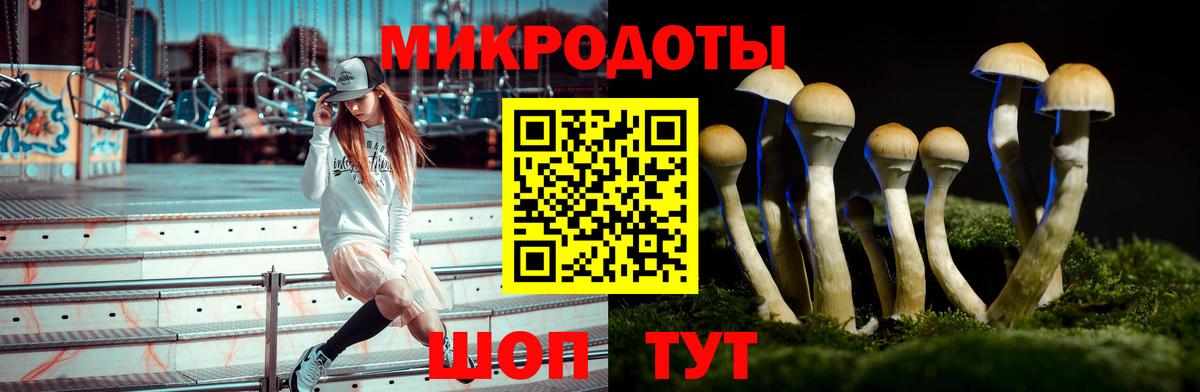 Галлюциногенные грибы мухоморы Лобня